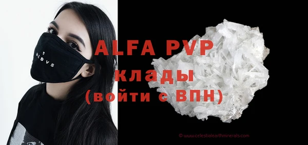 мяу мяу мука Баксан