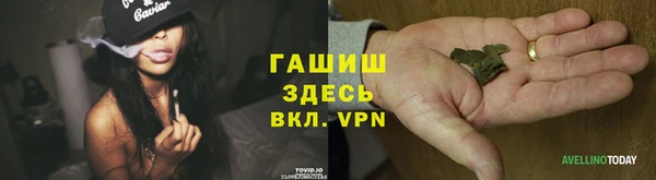 ALPHA PVP Белокуриха