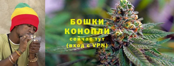 ALPHA PVP Белокуриха
