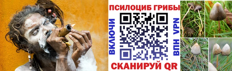 Галлюциногенные грибы мицелий  Хилок 